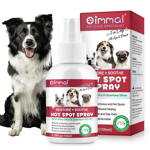 Dogs hot spot - dogs,