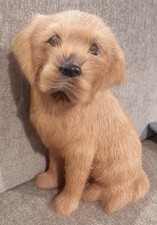Labrador Retriever Sitting Dog