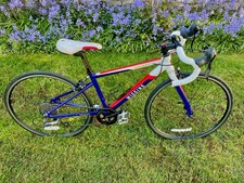 Wiggins Rouen 540 - high