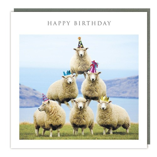 Funny sheep pyramid happy - sheep,