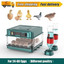 24-60 Eggs Double Electric