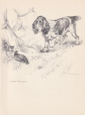 1938 ENGLISH SPRINGER SPANIEL Print - Antique - Wall Art - 9.75 x 7.15 Inches