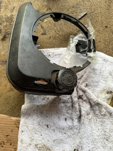 Briggs and stratton quantum - and,