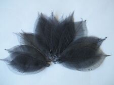 25 Natural Real skeleton leaves Dark Charcoal GREEN Tone Craft Card Topper