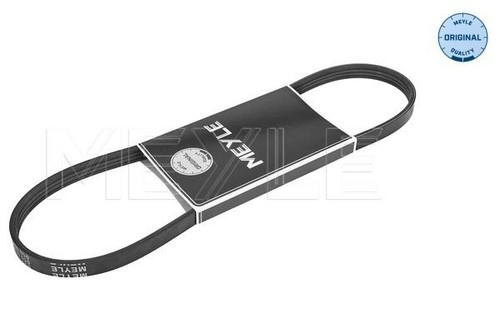 0500040962 ribbed belt meyle - belt,