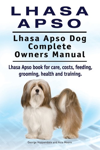 Lhasa apso dog - lhasa,