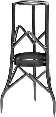 Toad stool gazing - toad, stand
