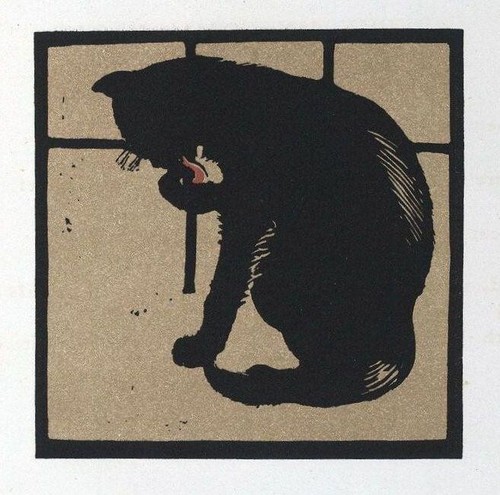 Black cat william nicholson - black, by