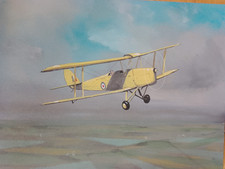 Original Painting 'Tiger Moth"