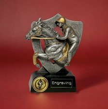 Horse Riding / Horse Racing