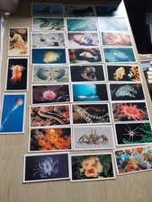 Grandee Cigar Cards The Living Ocean Full Set 30 Cards