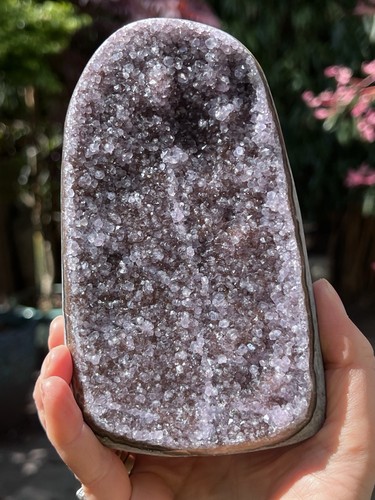 Amethyst cluster large flat - cluster,