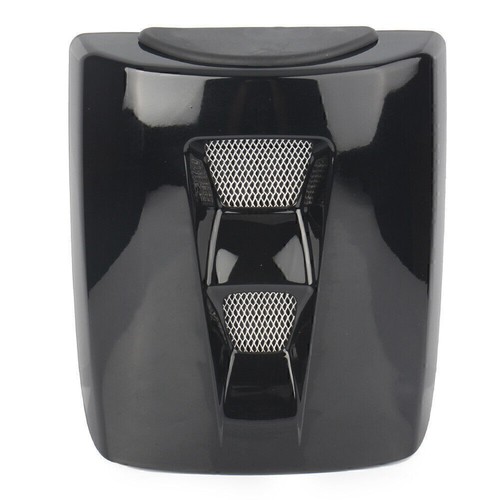 Rear pillion passenger - pillion,