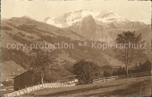 Lenk simmental - lenk,