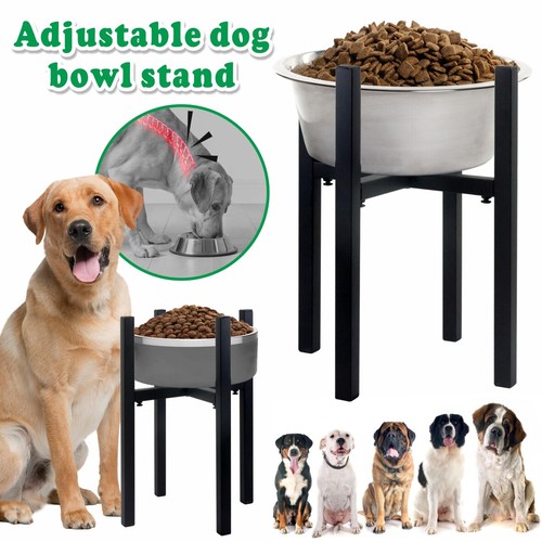 Single stand elevated dog - single,