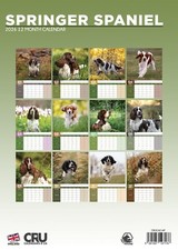Springer Spaniel Dog 2026 A3