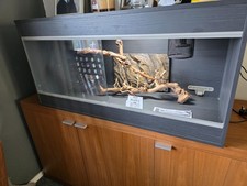 VivExotic Repti-Home Maxi Large Grey Snake Vivarium Excellent Used Condition