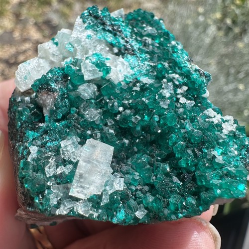 Dioptase crystal cluster - crystal,