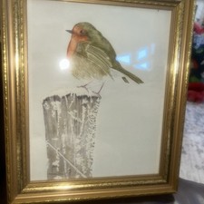 Original Watercolour Robin In