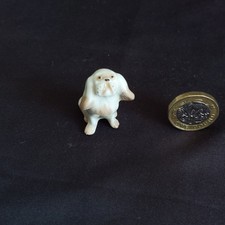 Lomonosov LFZ Bolognese Dog