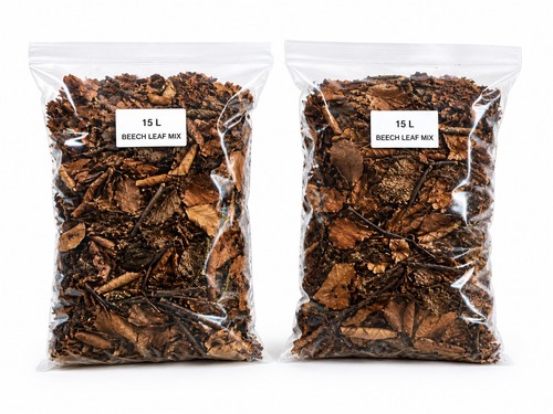 Dried beech leaves - dried,