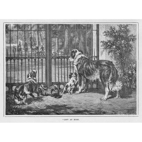 Dogs left home antique - dogs,