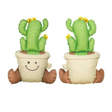 Cactus Pot Balloon Flower