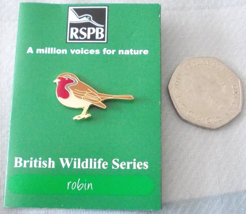 Robin rspb rare - robin, pin/badge