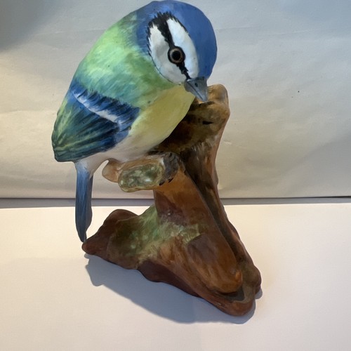 Coalport vintage blue tit - vintage, on