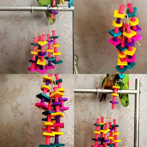 Pack bird chewing toy - pack,