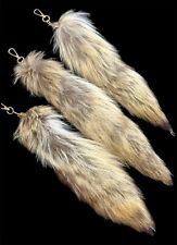 ??L@@K GENUINE COYOTE TAIL BRUSH COLLECTABLE MOD SCOOTER PLAY ECT