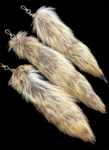 K genuine coyote - 🦊🦊l@@k,