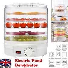 Portable Electric Food