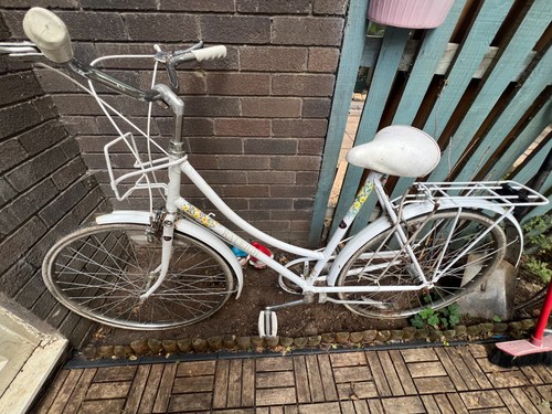 Raleigh caprice vintage dutch - vintage,