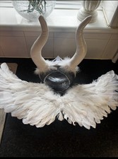 Halloween fancy dress