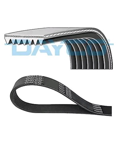 Dayco 6pk873ee ribbed belt - dayco, v-ribbed