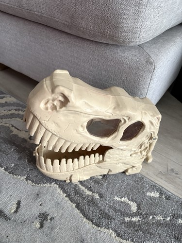 Rex head skull skeleton key - head,