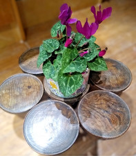 Vintage wooden stand for
