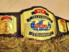 NEW WCW TELEVISION