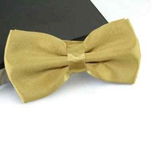 Bow Tie Neck Men Satin Fancy Dress Wedding Plain Adjustable Pre-Tied Dickie Clip