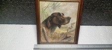 Pointer Hunting Dog Picture.     A4