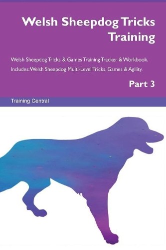 Welsh sheepdog tricks - welsh, training