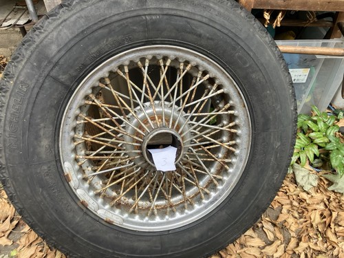 Triumph stag wire - stag, for