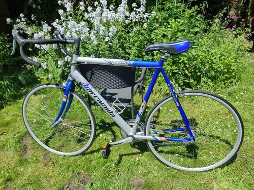 Barracuda azzurri bike - barracuda,