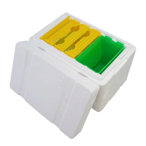 Beekeeping case bee queen - case,