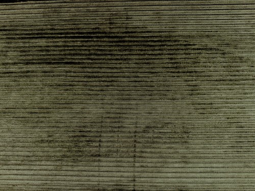 Fibre naturelle wilton velvet - fibre,