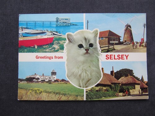 Vintage postcard selsey - vintage,