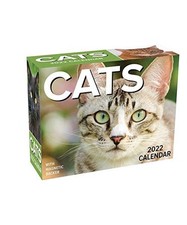 Cats 2022 Mini Day-To-Day