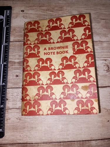 Vintage brownie guide - vintage,