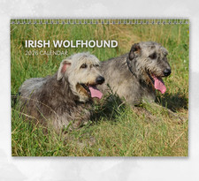 Irish Wolfhound Calendar 2026